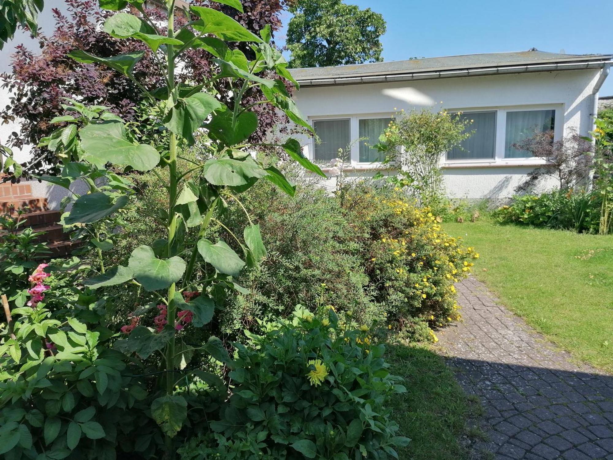 Pension Haus Anneliese Uckeritz Exterior photo