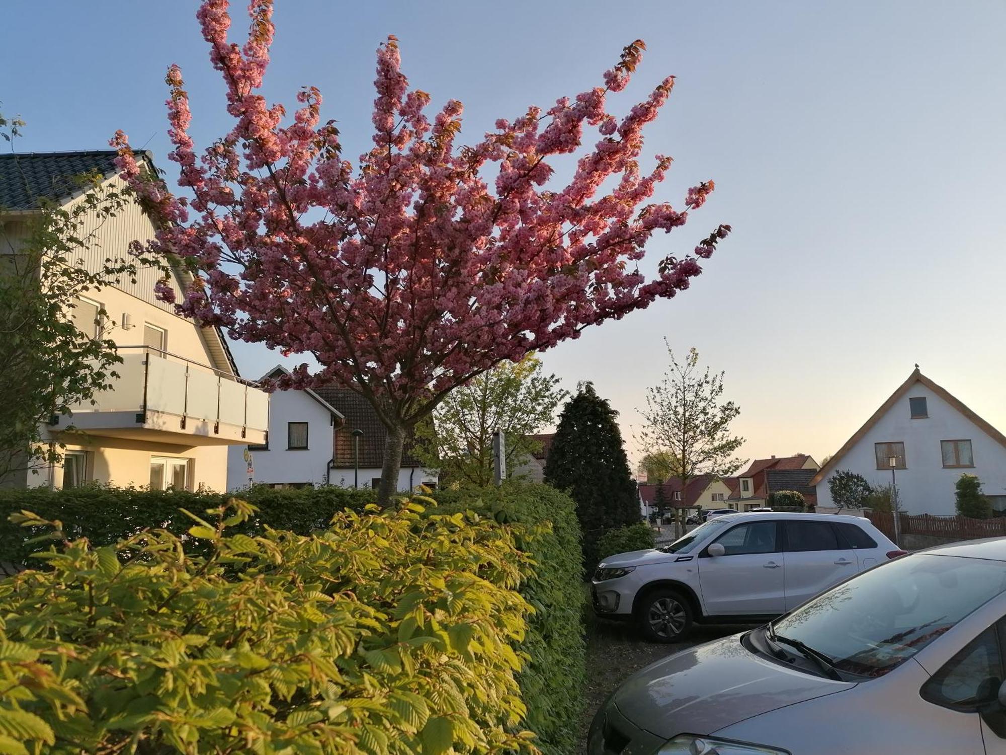 Pension Haus Anneliese Uckeritz Exterior photo