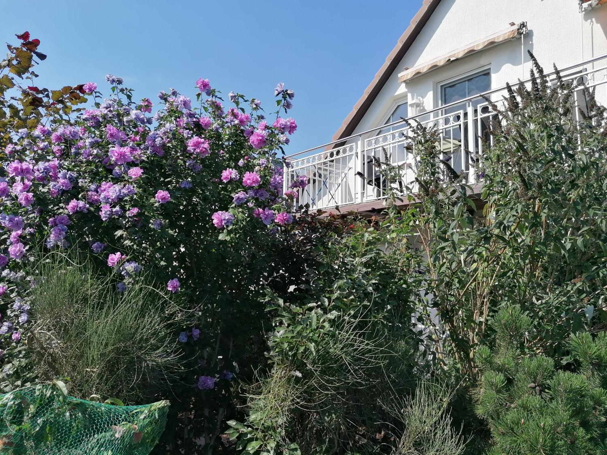 Pension Haus Anneliese Uckeritz Exterior photo